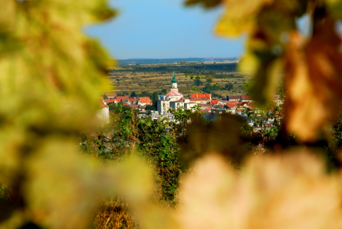 Vinárstvo Chateau Modra – víno z vlastných viníc