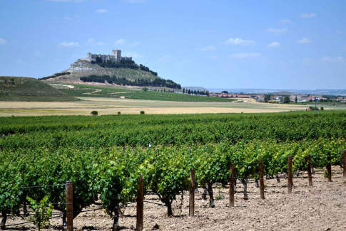Výnimočný vinársky región Španielska - Ribera del Duero